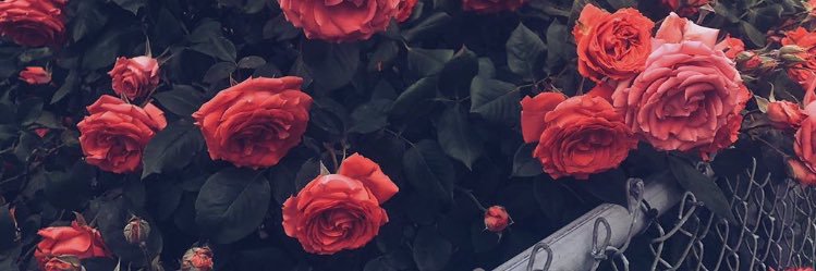 ___mariama__'s profile banner image