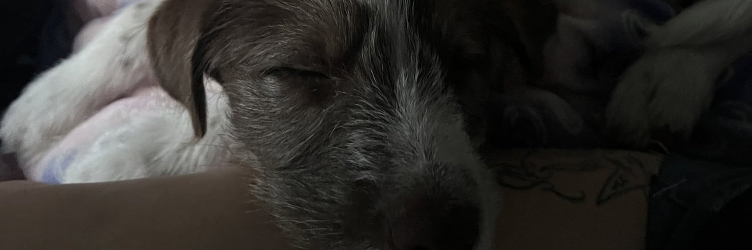 leticiaemtz's profile banner image