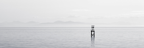 ThreeCapital Profile Banner