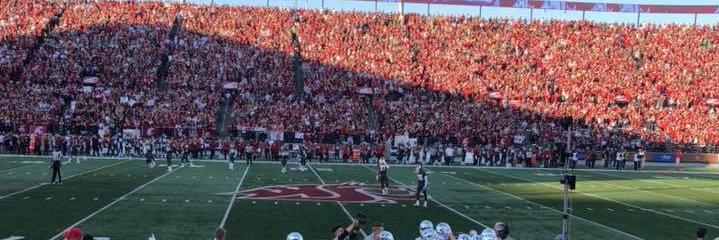 Cougasaurus🦖 banner