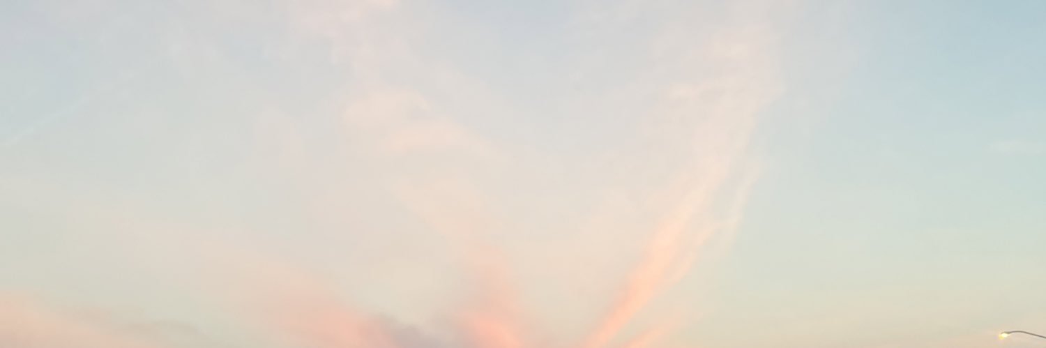 lovedelmi's profile banner image