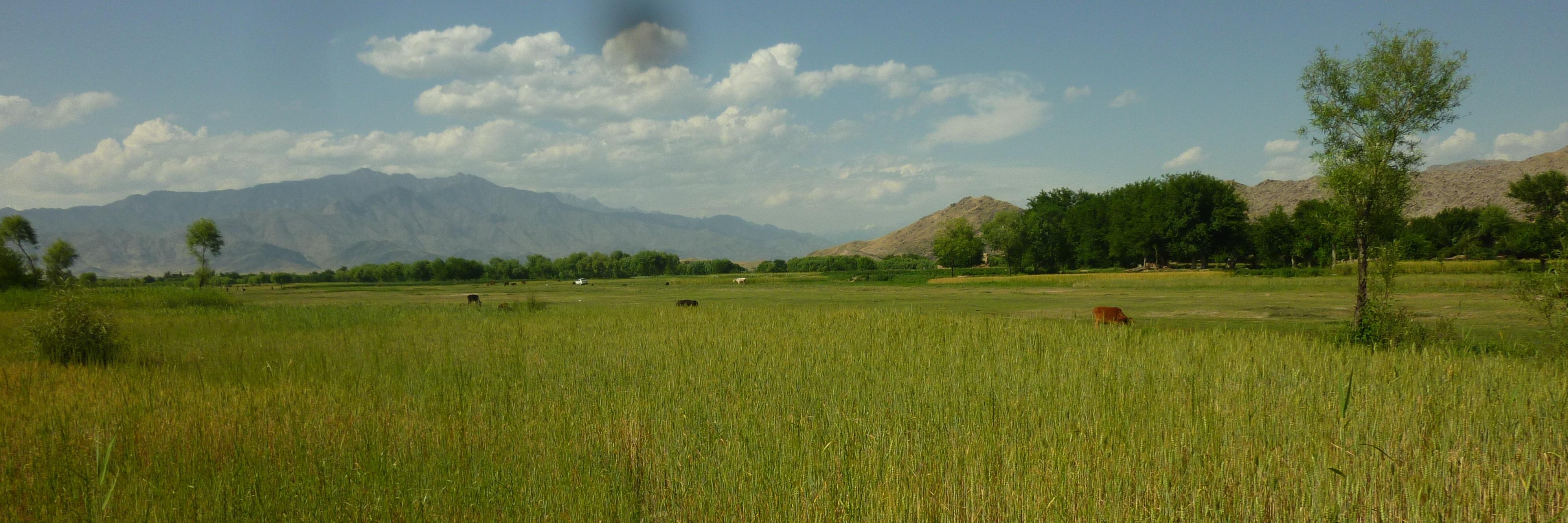 jamilhashami's profile banner image