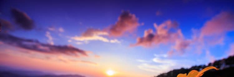 natnatdecoconut's profile banner image