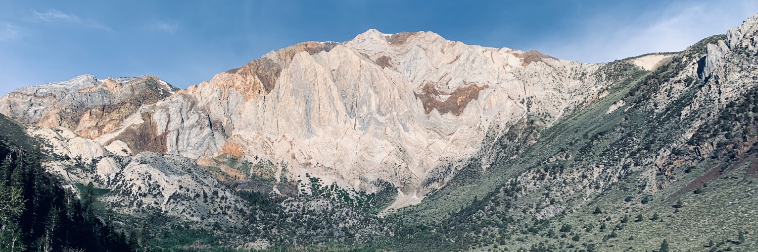 Daniel Sirkis banner