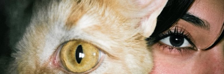 anoldghosttown's profile banner image