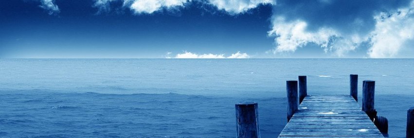phungphi147's profile banner image