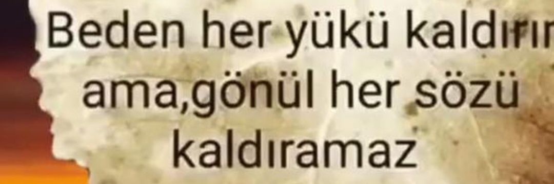 mscelik2's profile banner image