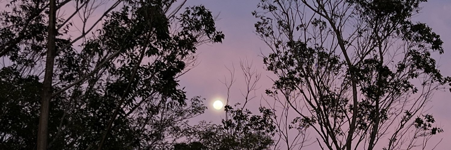 whitemudboy's profile banner image
