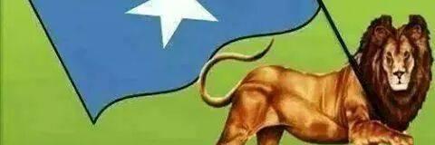 dhogorlibah's profile banner image