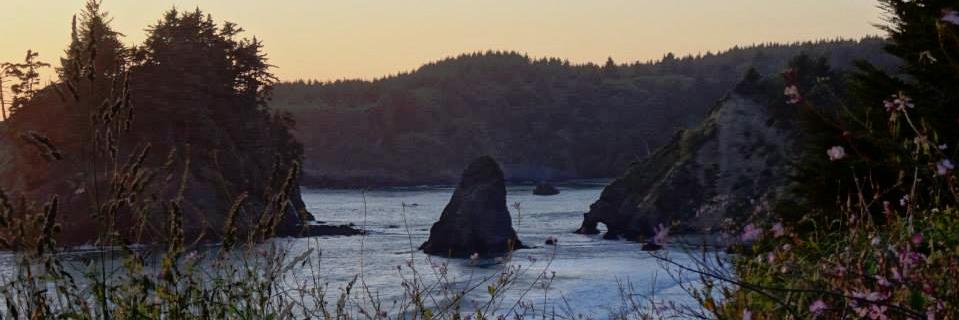 katlouwebb's profile banner image