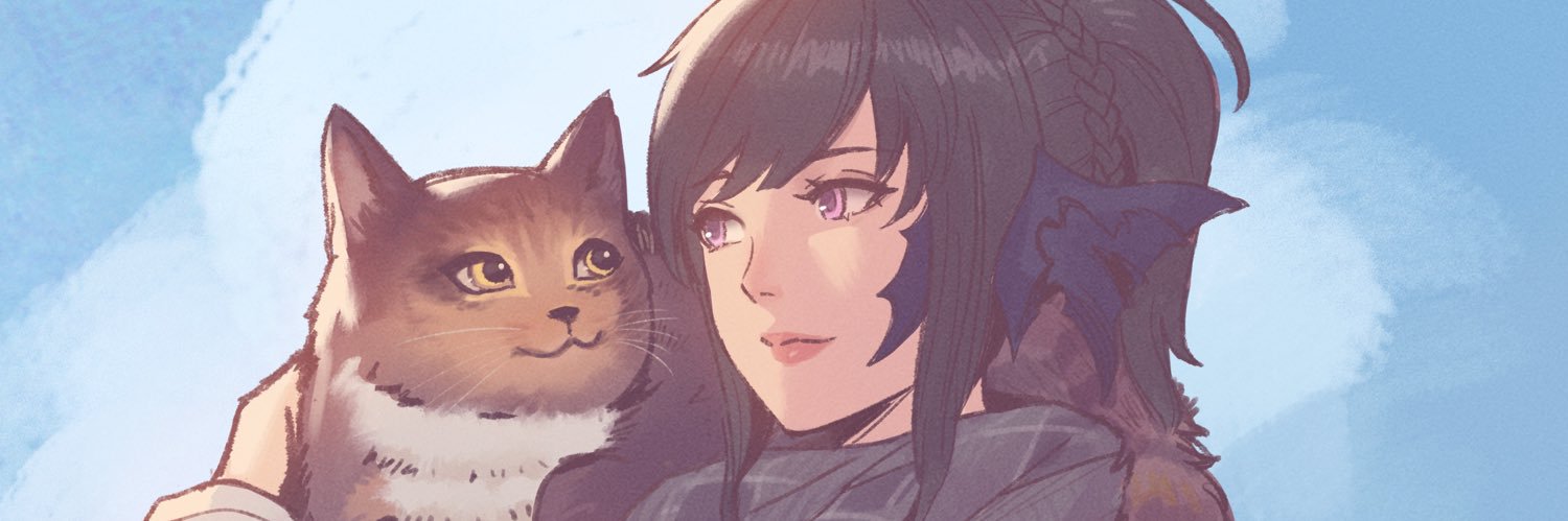 zaer banner