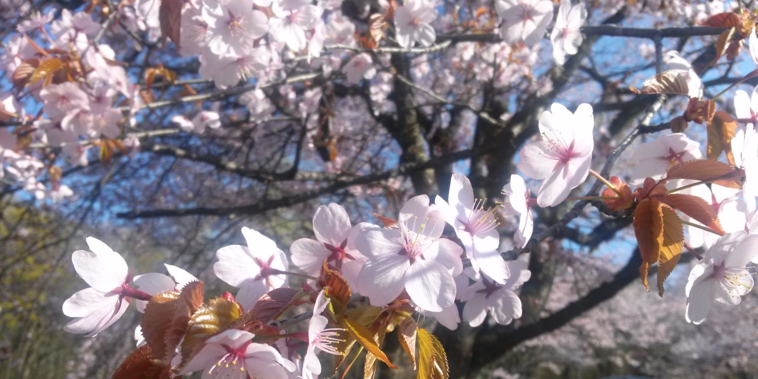 nam@取引用 banner