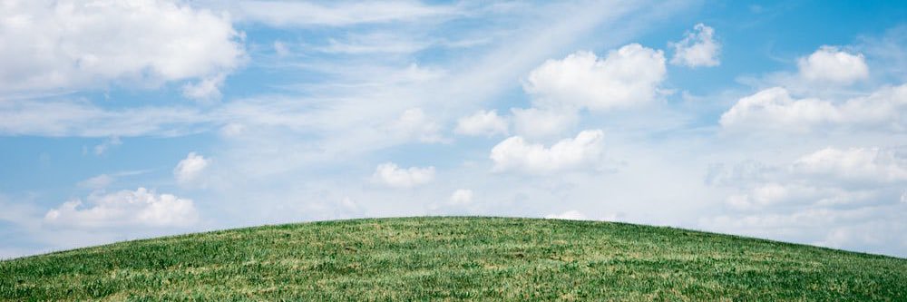 onyourm____ai banner