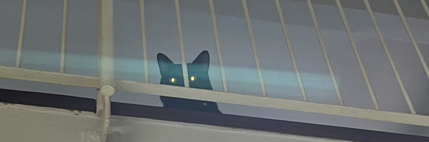 nicolesct's profile banner image