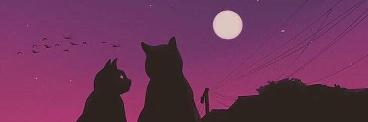 bbaratadd's profile banner image