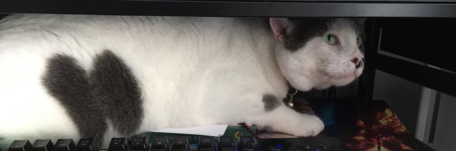 horatiosroom's profile banner image
