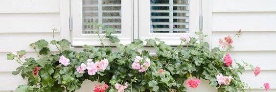 alaa_algazar's profile banner image