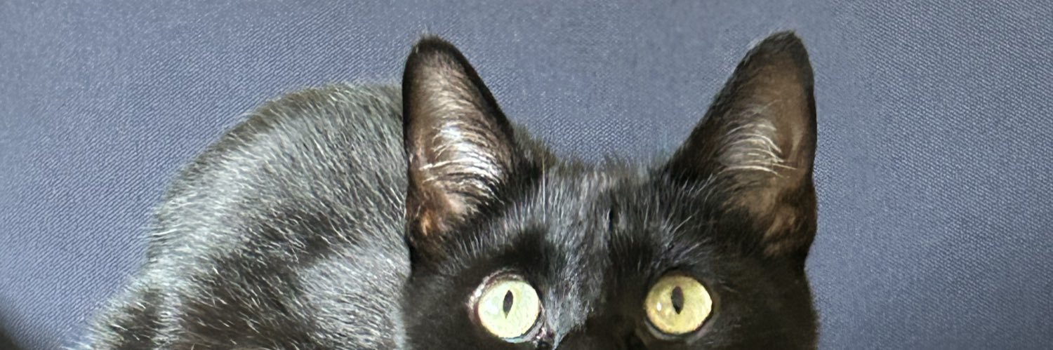 miserychix's profile banner image
