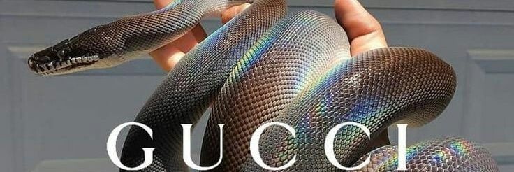 HotMoon_22's profile banner image