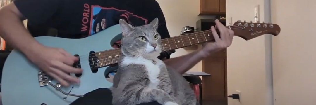 🎸 Liam Omega 🎸 banner