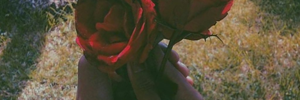deenyys_'s profile banner image