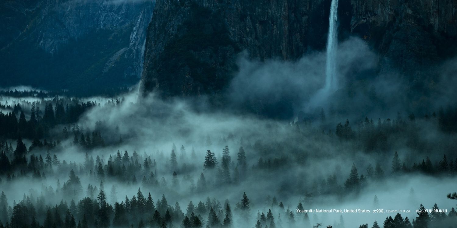 Beatriz Sanchez banner