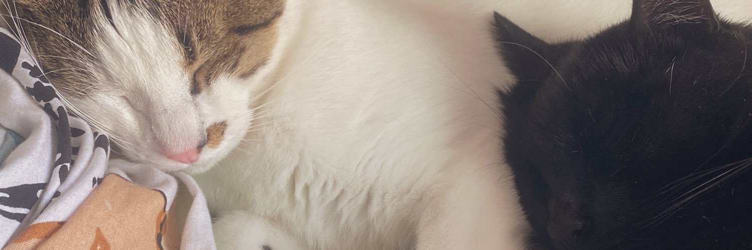 léticio 🐧 banner