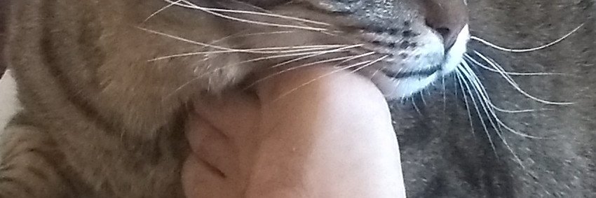 TurcoTurco94's profile banner image