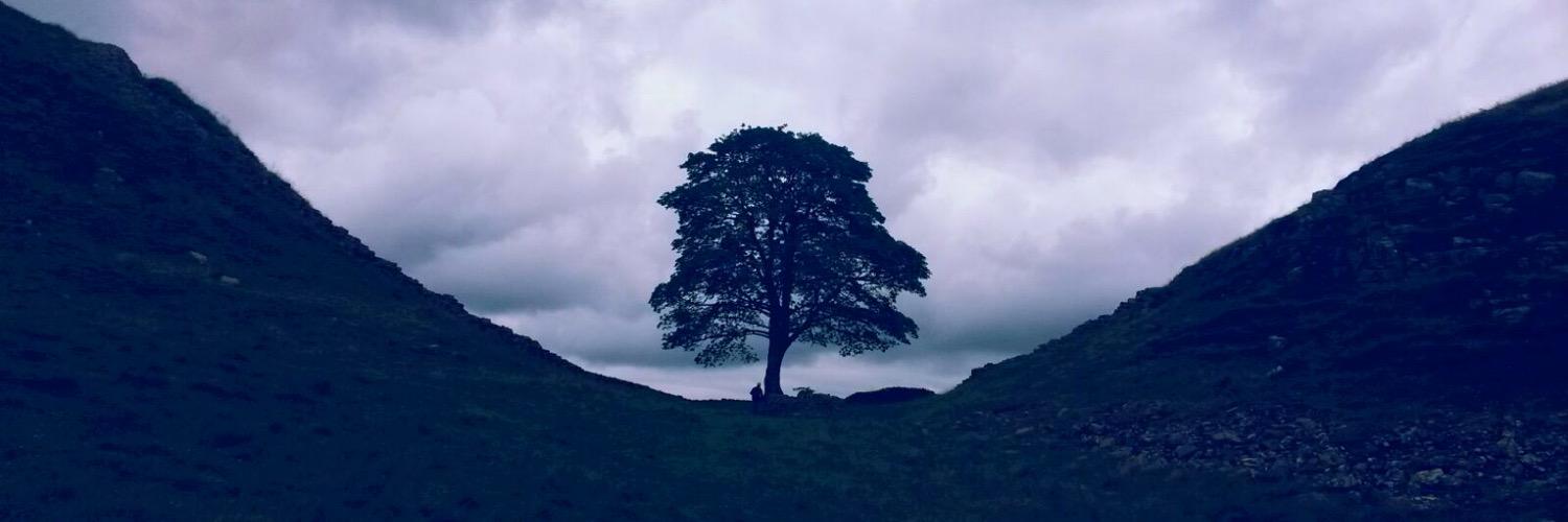 simonhall96's profile banner image