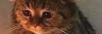 l1stenup's profile banner image