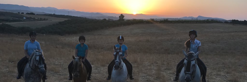 AnyaMcCrimm's profile banner image