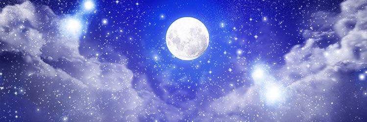 ドンちゃん🔰🔰🔰🔰🔰 banner