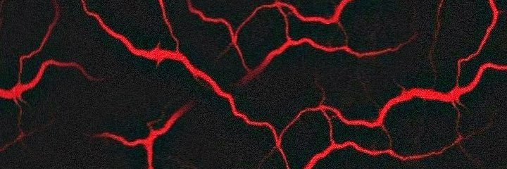 𝐑𝐨𝐣𝐨 𝐚𝐧𝐭𝐢𝐦𝐚𝐫𝐱𝐢𝐬𝐭𝐚 🩸 banner