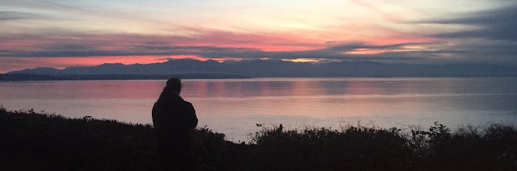 crhorn96's profile banner image