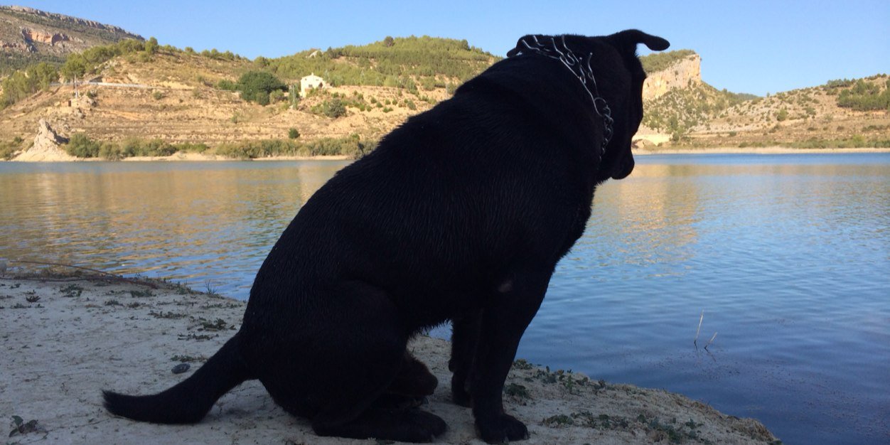 RubenLiza's profile banner image