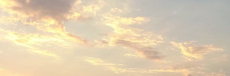 al__woo's profile banner image