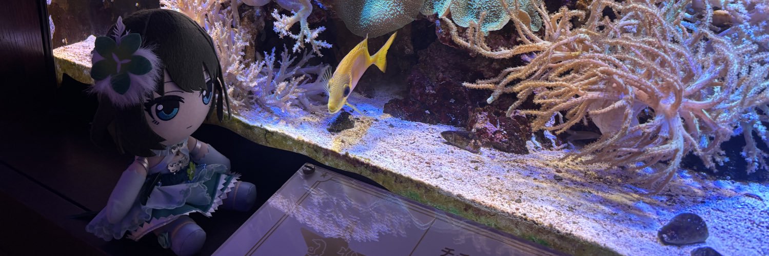 問い詰め🍁🍶@次回現地：デレミュ5/10→IWSF？→Toybox?→11/28・29Kアリ？ banner