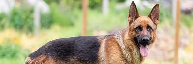 Facts of Life banner