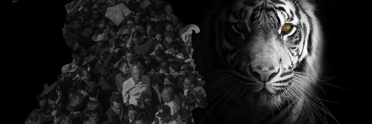 ismaelmache's profile banner image