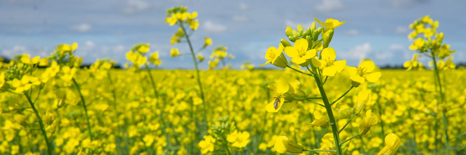 XiteBio Technologies banner