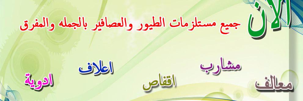 123454321qa's profile banner image