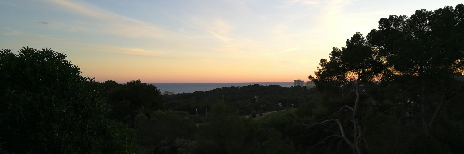GuilleMF30's profile banner image