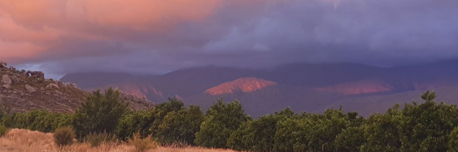 Clare_Hendry's profile banner image
