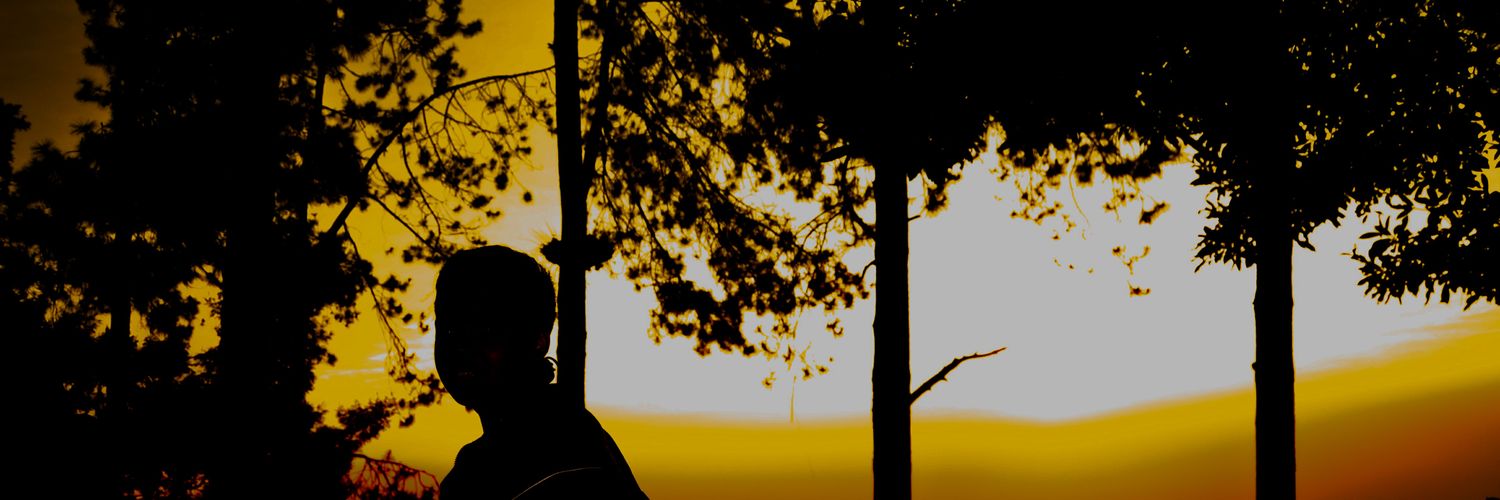 wsinatra67's profile banner image