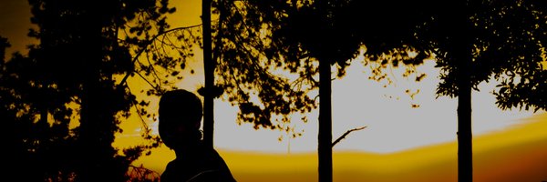 wsinatra67 Profile Banner