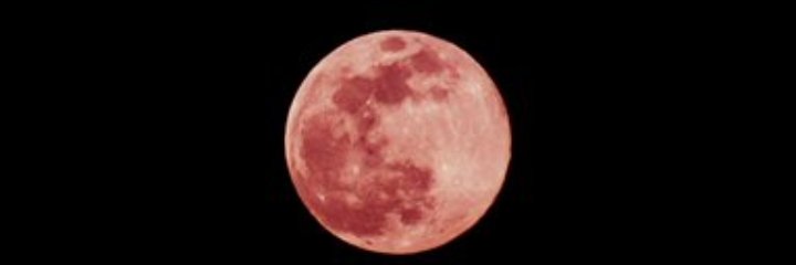 matebomoleele's profile banner image