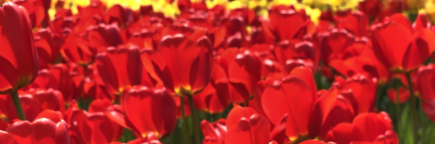 buranras85's profile banner image