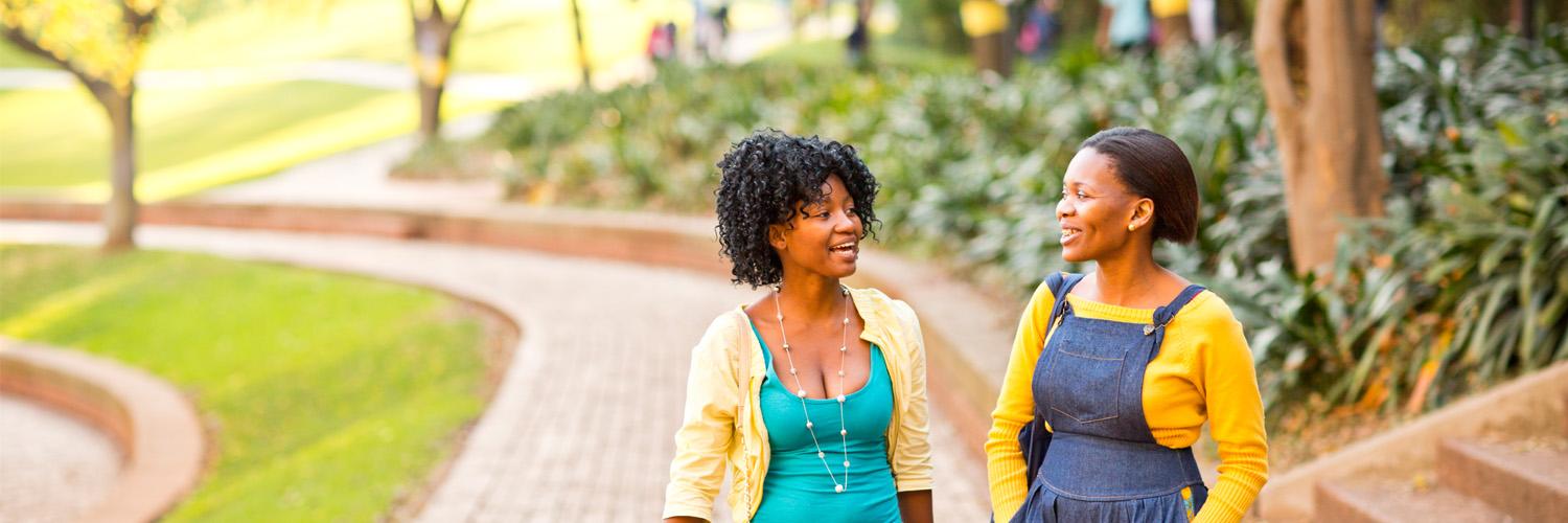 British Council South Africa banner