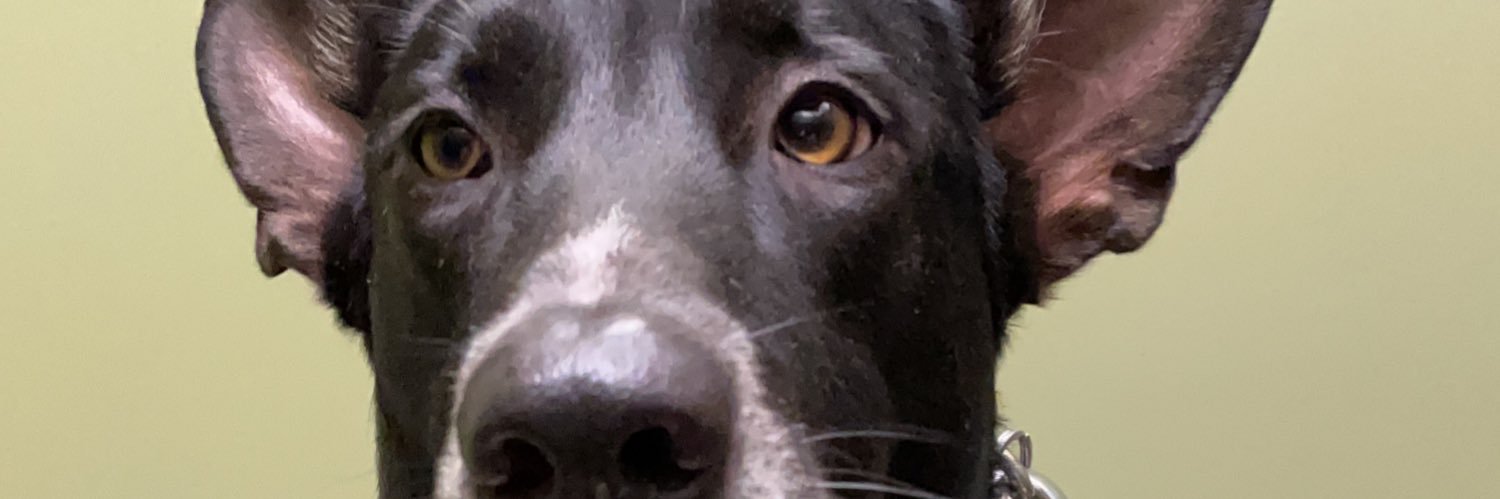 andreaduro8's profile banner image