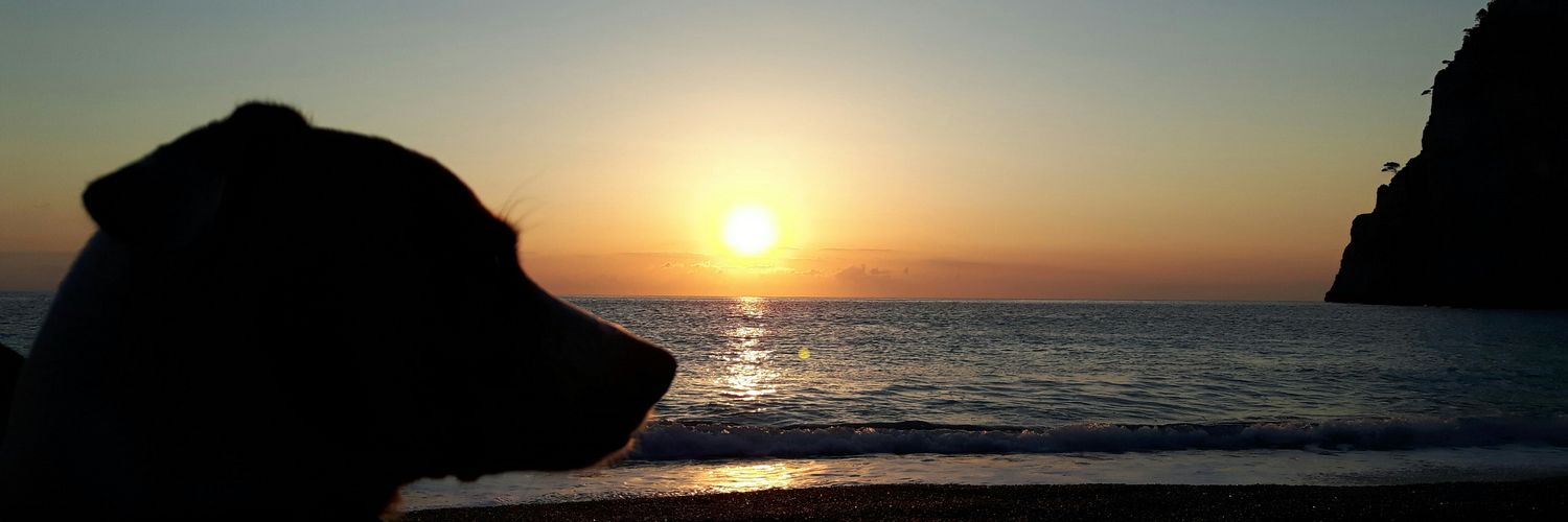 chirla_charly's profile banner image